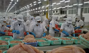 Xuất khẩu thủy sản sang Hoa Kỳ: Cơ hội và thách thức trong bối cảnh mới
