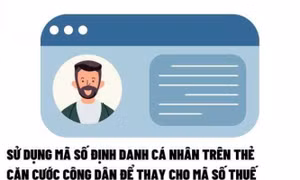 Khi nào được sử dụng mã số định danh cá nhân thay mã số thuế? 