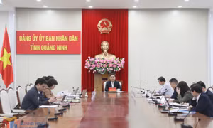 Họp Thường vụ Đảng ủy UBND tỉnh