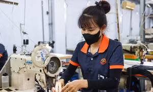 Bộ Tài chính: Mức giảm trừ gia cảnh có thể căn cứ theo vùng