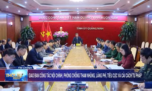 Giao ban công tác nội chính, phòng chống tham nhũng, lãng phí, tiêu cực và cải cách tư pháp