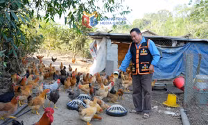 Phát huy vai trò của đảng viên người DTTS