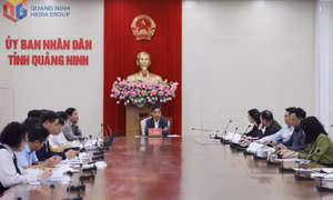 Nghe báo cáo kết quả và tiến độ tổng kiểm kê tài sản công, tài sản kết cấu hạ tầng 