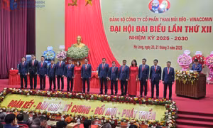 Đại hội Đại biểu Đảng bộ Công ty CP Than Núi Béo lần thứ XII