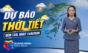 Dự báo thời tiết đêm 13/8, ngày 14/8/2026