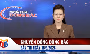 Chuyển động Đông Bắc ngày 18/8/2026