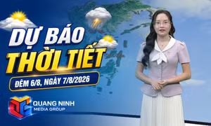 Dự báo thời tiết đêm 6/8, ngày 7/8/2026