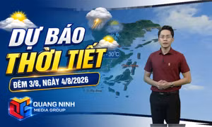 Bản tin dự báo thời tiết đêm 3, ngày 4/8/2026