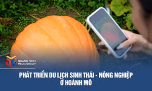 Phát triển du lịch sinh thái - nông nghiệp ở Hoành Mô