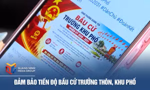 Đảm bảo tiến độ bầu cử trưởng thôn, khu phố