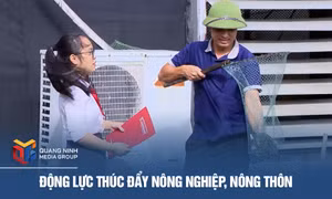 Động lực thúc đẩy nông nghiệp, nông thôn