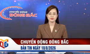 Chuyển động Đông Bắc ngày 10/8/2026