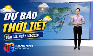 Bản tin dự báo thời tiết đêm 2/8, ngày 3/8/2026
