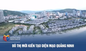 Đô thị mới kiến tạo diện mạo Quảng Ninh