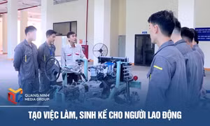 Tạo việc làm, sinh kế cho người lao động