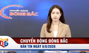 Chuyển động Đông Bắc ngày 8/8/2026