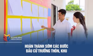 Hoàn thành sớm các bước bầu cử trưởng thôn, khu