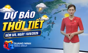 Dự báo thời tiết đêm 9, ngày 10/8/2026