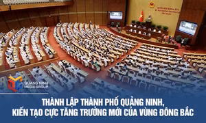 Thành lập Thành phố Quảng Ninh, kiến tạo cực tăng trưởng mới của vùng Đông Bắc