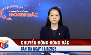 Chuyển động Đông Bắc ngày 11/8/2026