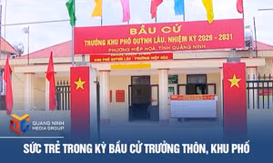 Sức trẻ trong kỳ bầu cử trưởng thôn, khu phố