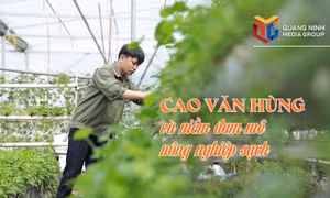 Cao Văn Hùng và niềm đam mê nông nghiệp sạch
