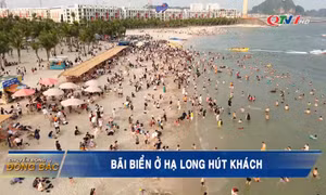 Bãi biển ở Hạ Long hút khách