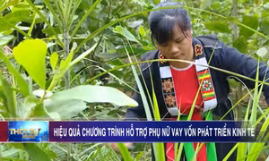 Hiệu quả chương trình hỗ trợ phụ nữ vay vốn phát triển kinh tế