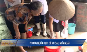 Phòng ngừa dịch bệnh sau mưa ngập