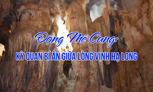 Động Mê Cung: Kỳ quan bí ẩn giữa lòng Vịnh Hạ Long
