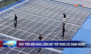 Phát triển điện năng lượng mặt trời trong các doanh nghiệp