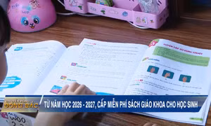 Quảng Ninh: Từ năm học 2026 - 2027, cấp miễn phí sách giáo khoa cho học sinh