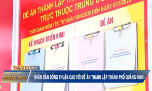 Nhân dân đồng thuận cao với đề án thành lập thành phố Quảng Ninh