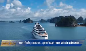 Kinh tế biển, logistics - Lợi thế cạnh tranh mới của Quảng Ninh