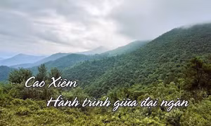 Cao Xiêm – hành trình giữa đại ngàn