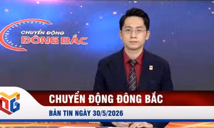 Chuyển động Đông Bắc ngày 30/5/2026