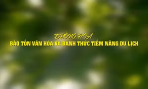 Đường Hoa: Bảo tồn văn hóa và đánh thức tiềm năng du lịch