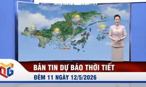 Bản tin dự báo thời tiết đêm 11, ngày 12/5/2026