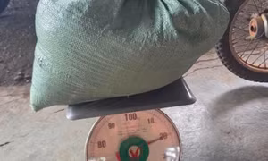Phát hiện đối tượng nghi trộm cà phê, có kim tiêm trên người
