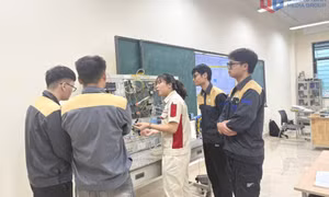 Tạo cơ hội việc làm bền vững cho người lao động