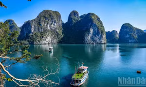 Định hình trục tăng trưởng dài hạn cho du lịch Việt Nam