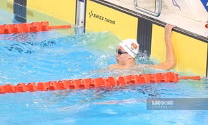Thể thao Việt Nam chờ thêm suất dự Olympic trẻ 2026