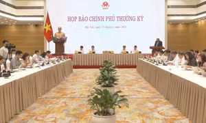 Thông cáo báo chí phiên họp Chính phủ thường kỳ tháng 3/2021