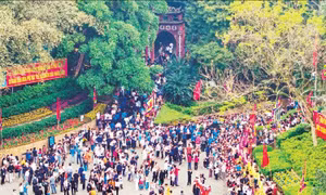 Như cây một cội, như con một nhà