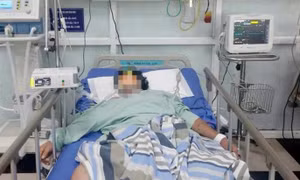 Ăn nhầm lá ngón lẫn trong rau rừng, hai người nhập viện cấp cứu