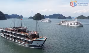 Phối hợp quản lý tốt hoạt động tham quan trên 2 vịnh Hạ Long, Lan Hạ