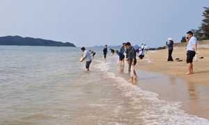 Các địa phương phát động thả giống thủy sản