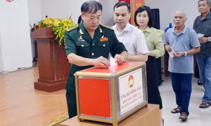 Hội CCB phường Hồng Gai góp sức xây dựng địa phương