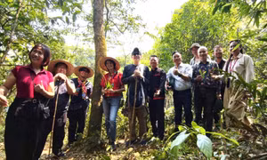 Thực hiện tour du lịch cộng đồng mẫu dành cho khách Nhật Bản