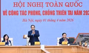Nỗ lực để công tác phòng, chống thiên tai ngày càng chuyên nghiệp, bài bản và hiệu quả hơn